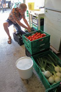 Im Depot sortiert Rainer die Lebensmittel ud schreibt an jede Kiste, wie viel jeder für seinen Anteil bekommt. Foto: Elke Syasse