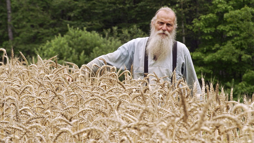 Will Bonsall rettet auf seiner Farm in Maine tausende von Samenarten.