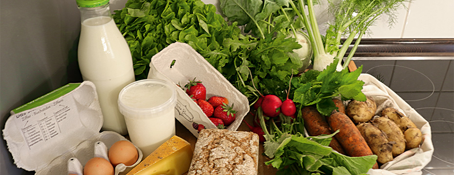 Ein Ernteanteil der Solawi: verschiedene Gemüsesorten, Milch, Eier, Käse und Brot.